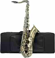 MEN’S TENORAS Small Amazon.com: Aiollns Tenor Saxophone JTS-802 B Flat Black
